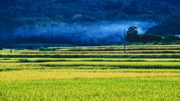 59808AAE-9302-4E11-9A4C-2F653CD48486/L0/001