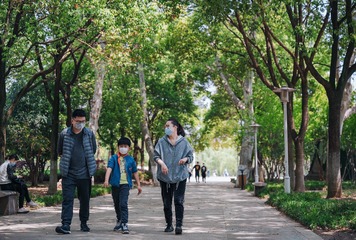 复苏的城市