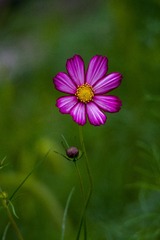 130645