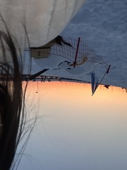 2F4A2B78-6876-4890-94A4-8FD381B00CE7/L0/001