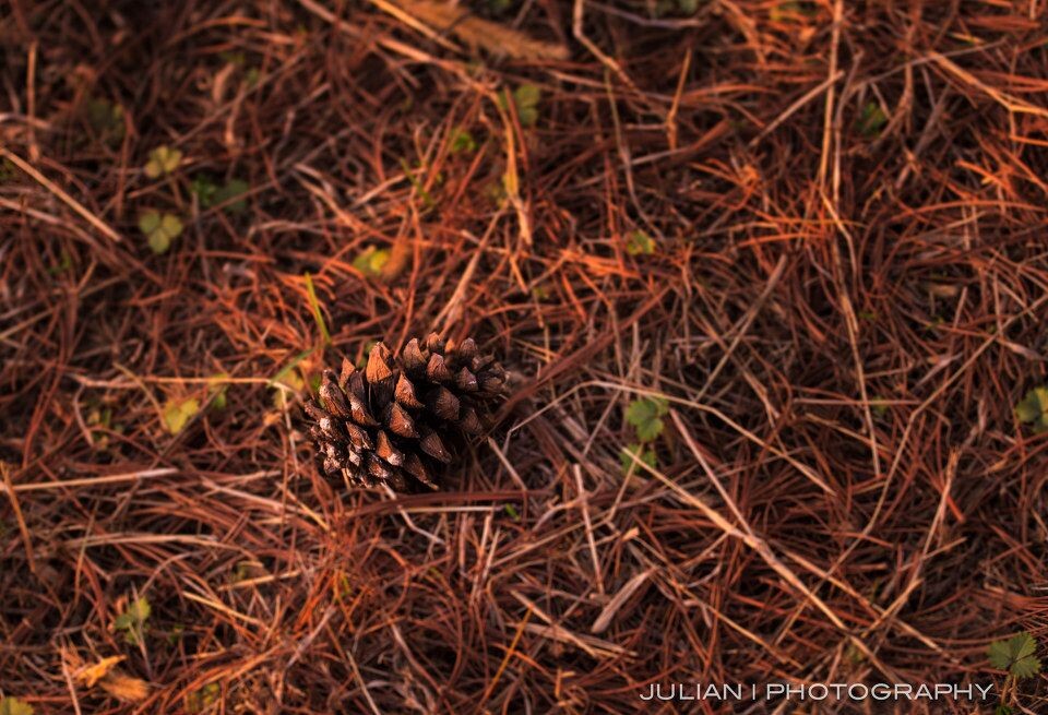 20120408-IMG_6270<br />
