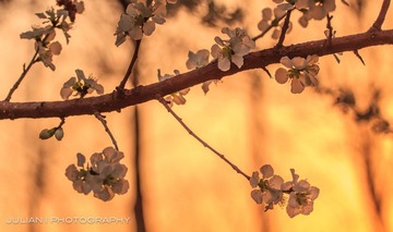 20120331-IMG_5778-2.jpg