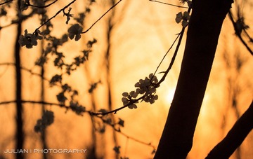 20120331-IMG_5807.jpg