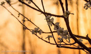 20120331-IMG_5810.jpg