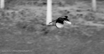 20120331-IMG_5858-2.jpg