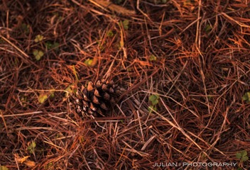 20120408-IMG_6270.jpg