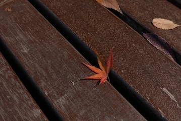 A7C3EA24-53A8-4FD0-BFD3-712542F935B0/L0/001