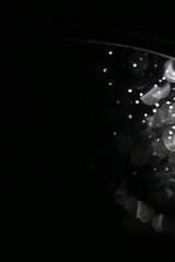 19D7E830-E1D1-48B6-B387-EFFA746CB9A9/L0/001