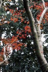 5C786E28-65DB-4C2D-9884-239DF6751F92/L0/001