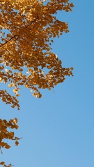 17C73E14-AECD-4D2C-8E4E-0699618F7FA5/L0/001