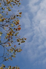 1182143E-A5C7-40EF-8AD2-3ADB6622B494/L0/001