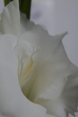 9F975D18-921C-42A4-B960-70AEEDA293DF/L0/001