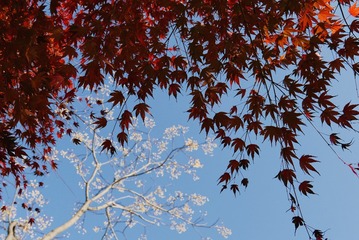 D137ABA7-6FB0-4538-B4CC-B1355D44D55F/L0/001