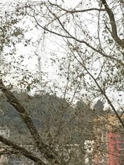 8AB70D6F-6BE8-4905-B956-8591671D3CEE/L0/001