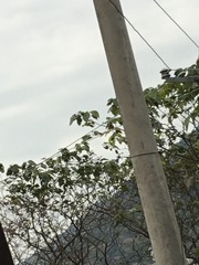 0D453816-3F3B-4D01-ABDE-01FAFC589F36/L0/001
