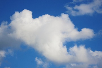 F29931E2-D514-426C-9FE5-53D78A4E4A9B/L0/001