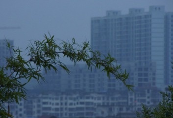 傍晚.JPG