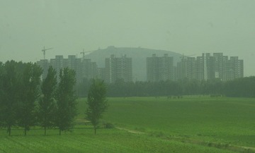 路上的风景.JPG
