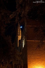 DSC_0102.jpg
