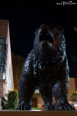 DSC_0115.jpg