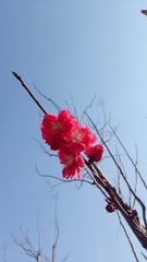 3F50F2CE-7F59-4879-9C03-82DD0996C284/L0/001