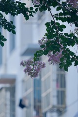 15852E34-E3DF-41EC-8B8B-3C9C36FE2C7A/L0/001