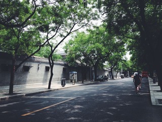 照片