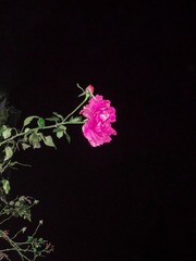 1A83776F-6BE1-44F6-A505-163B6D29F398/L0/001