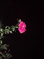 24D816FA-C82B-488B-8A85-62371431E78A/L0/001