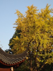 745A65C0-941C-4176-B256-F85695B1C701/L0/001