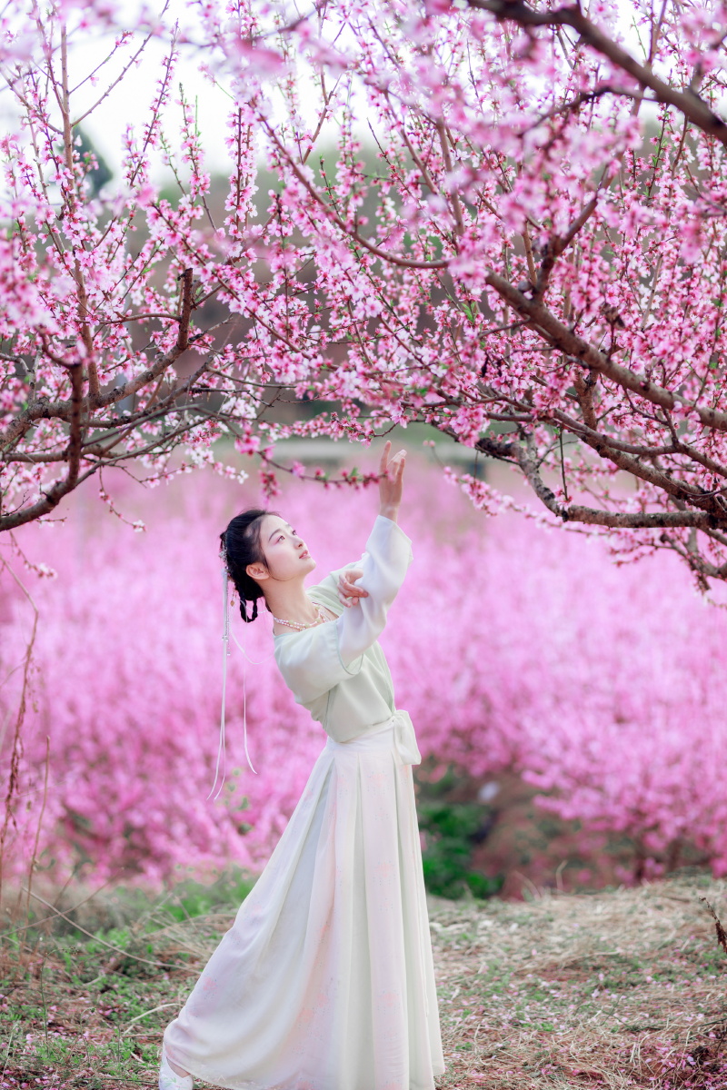 桃花树下桃花仙
