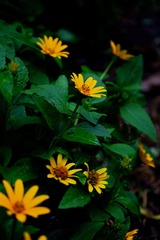 53DB3A49-5687-46B9-A80D-5640AB386289/L0/001