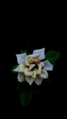 F2E42348-380F-493E-8C41-01BFA491C85C/L0/001