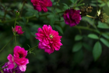 5C87F0B8-BABD-4296-A49F-D97736EC0BD1/L0/001