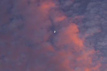1254642