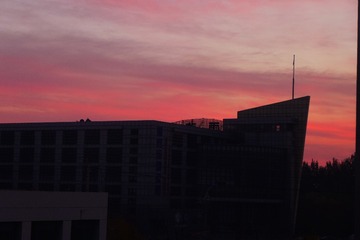 1254607