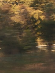22853780-5F39-4B6A-BC96-FD3DF5B7C1D2/L0/001