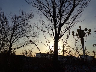 2D2B26E8-3164-4CB6-8AE2-9CF417CAF9D9/L0/001