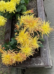 FD116C0B-6E0B-4A39-A37D-3359D43E56D9/L0/001