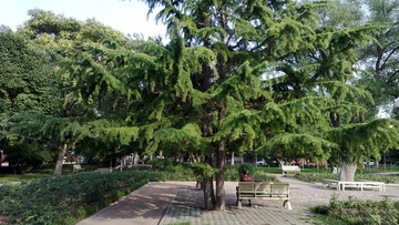 WP_20130803_002.jpg