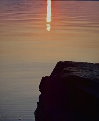 A051E1B3-8C39-474B-9D76-5DD63FE9C0DC/L0/001
