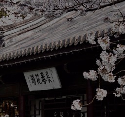 6A962445-A504-4A67-8223-DDD40234034B/L0/001