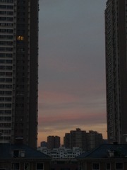 1240076