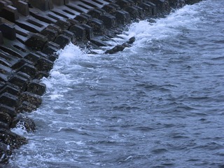 3B99A4A2-7774-4390-B152-8CEE8F2BB892/L0/001
