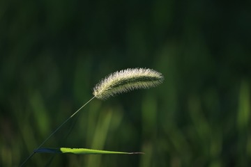 6298