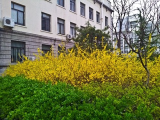 20130415_180429.jpg