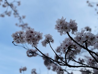F137090B-D411-4691-A5CD-7A25318CAE79/L0/001