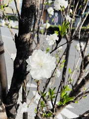 E0F6BFD8-1C5A-4885-BE5A-06819BA8B193/L0/001