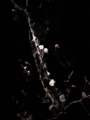 613E60A7-716A-490A-A961-D129A7908262/L0/001