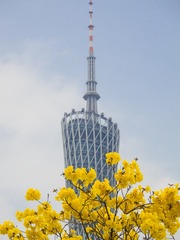 CF9C9256-B850-496D-8758-D7D5117897FD/L0/001